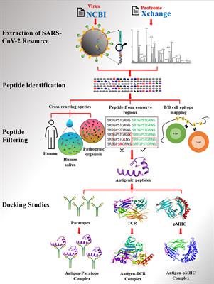 Identification of Unique Peptides for SARS-CoV-2 Diagnostics and Vaccine Development by an In Silico Proteomics Approach